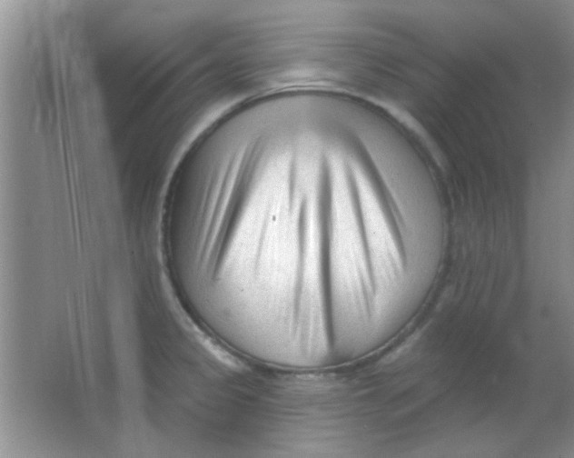 X0000063491333200602101823