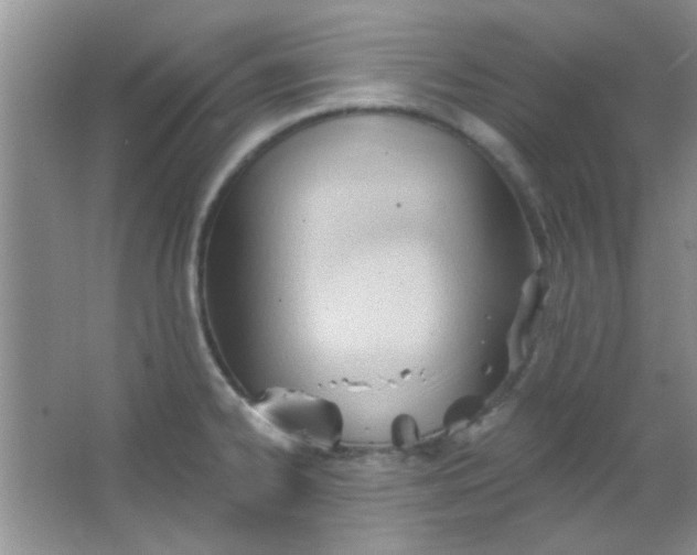 X0000063491334200602101823