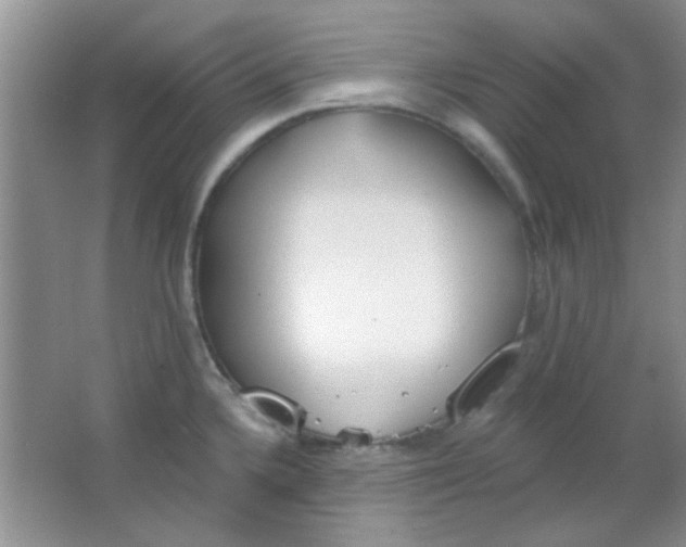 X0000063491336200602101823