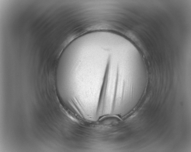 X0000063491337200602101823