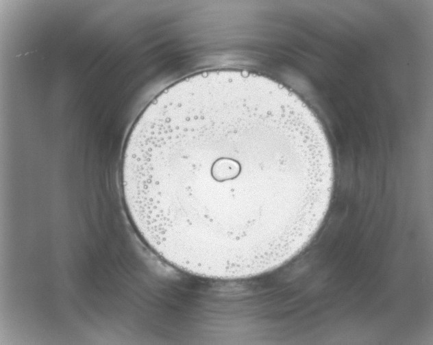 X0000063491338200602101823