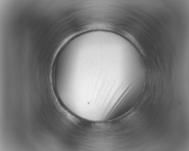 X0000063491339200602101823