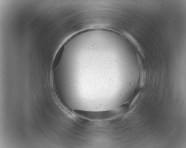 X0000063491340200602101823