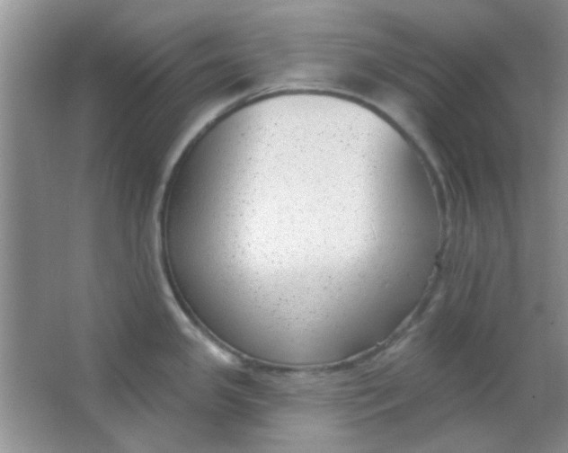 X0000063491341200602101823