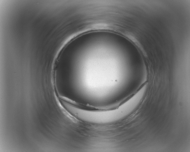 X0000063491342200602101823