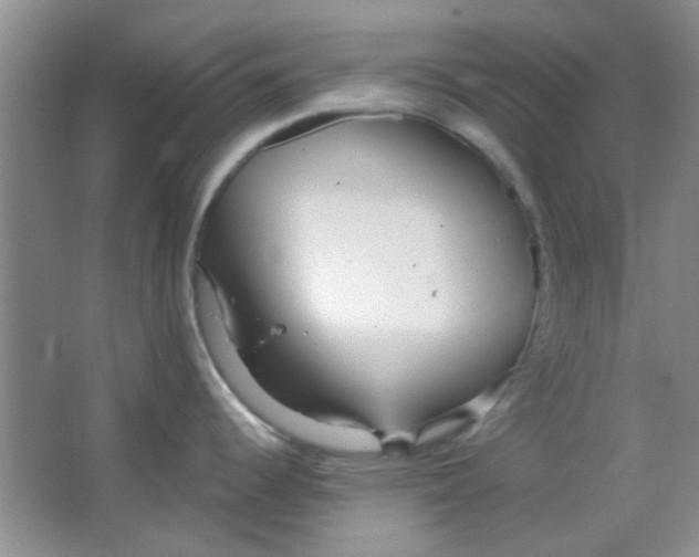 X0000063491344200602101823