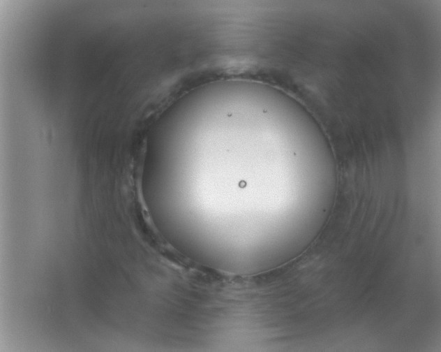 X0000063491349200602101822