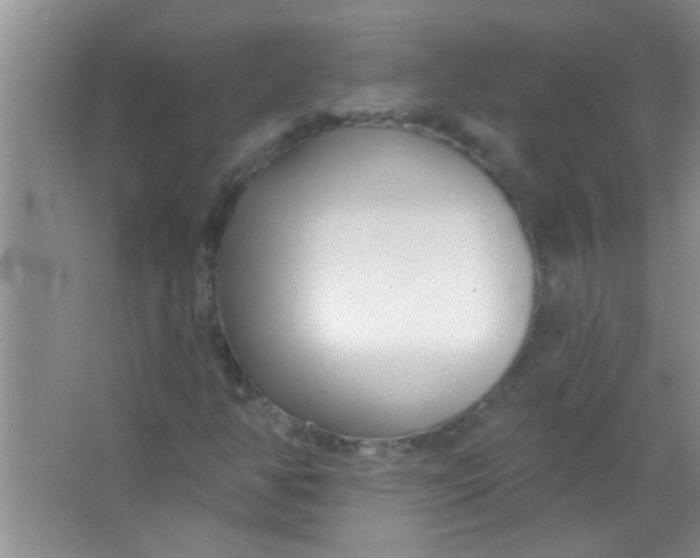 X0000063491350200602101822