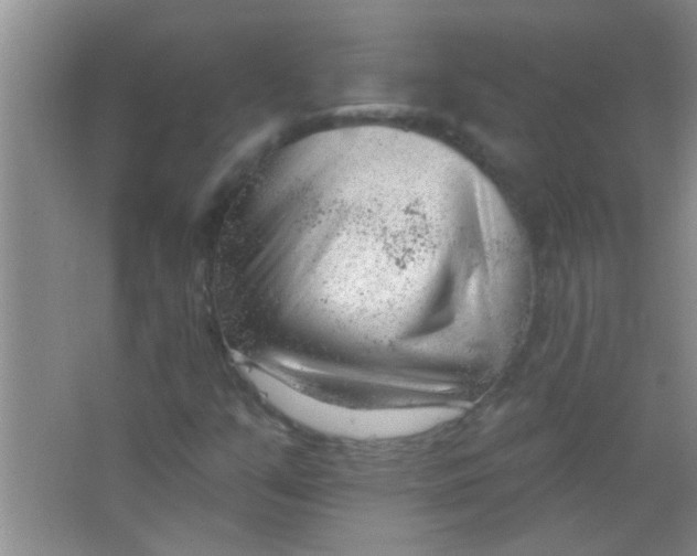 X0000063491351200602101822