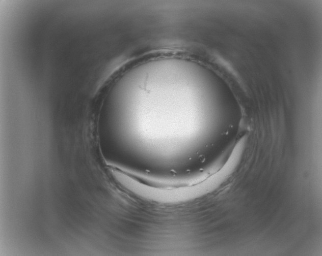 X0000063491352200602101822