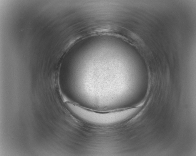 X0000063491353200602101822