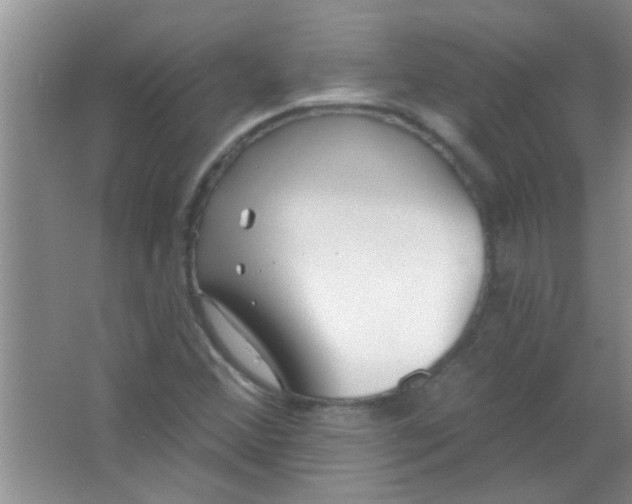 X0000063491356200602101822