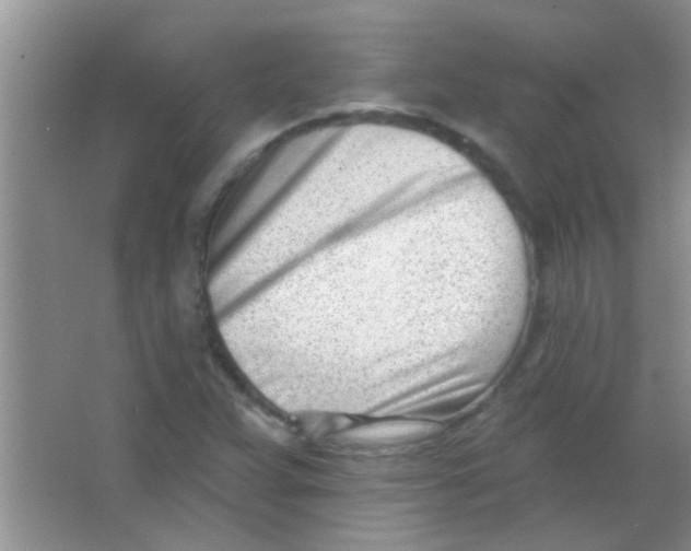 X0000063491359200602101822