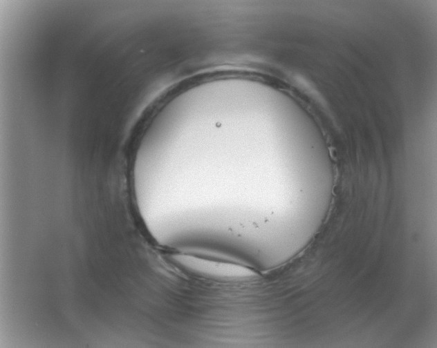 X0000063491360200602101822