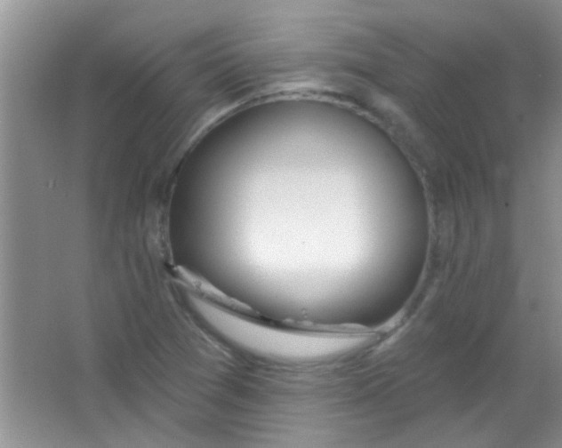 X0000063491361200602101822