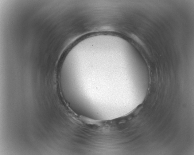 X0000063491364200602101822