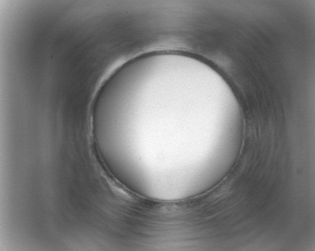 X0000063491366200602101822