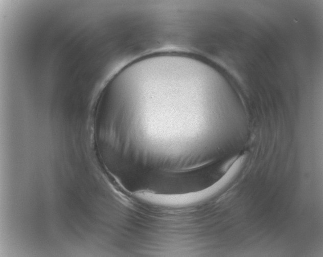 X0000063491367200602101822