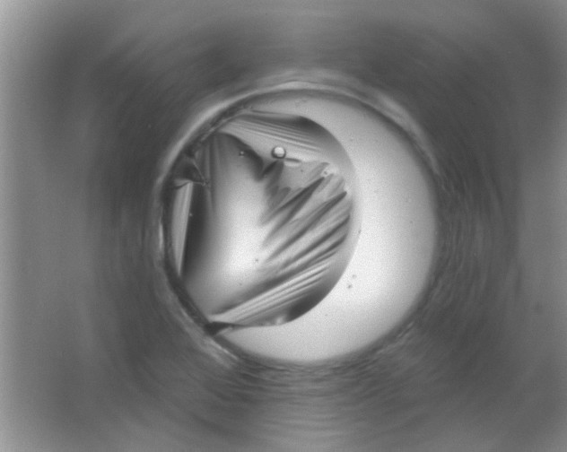 X0000063491368200602101822