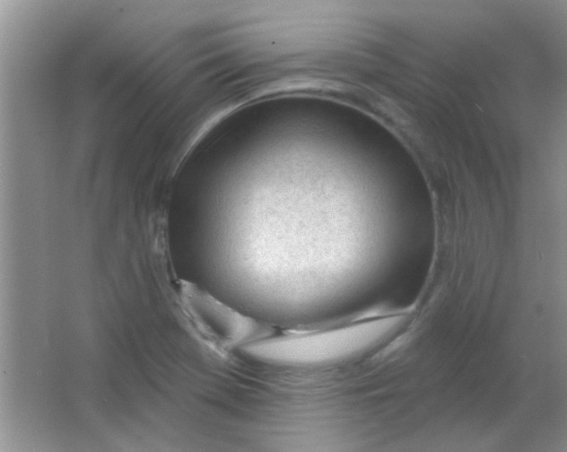 X0000063491369200602101822