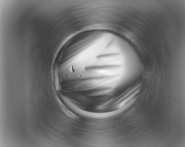 X0000063491372200602101822