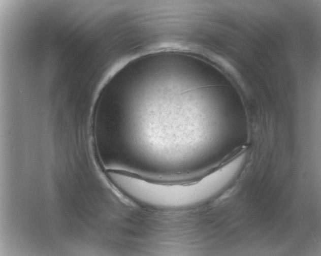 X0000063491373200602101822