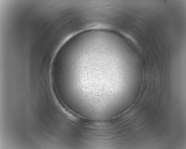 X0000063491375200602101822