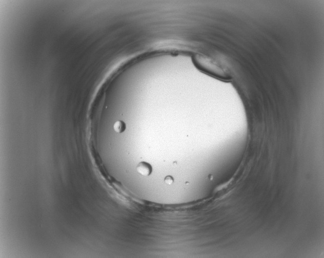 X0000063491376200602101822