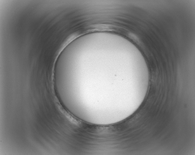 X0000063491378200602101822