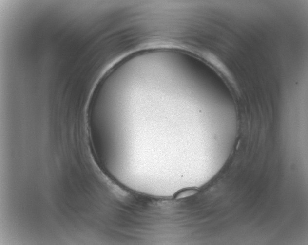 X0000063491380200602101822