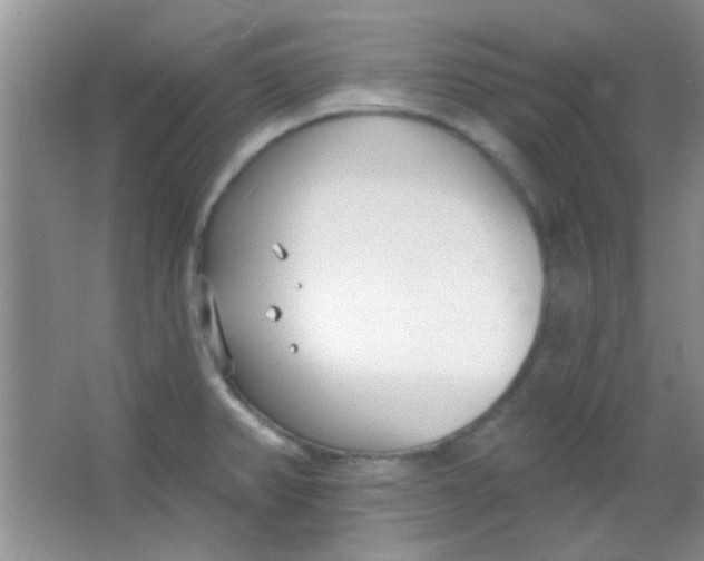 X0000063491382200602101822