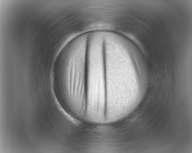 X0000063491383200602101822