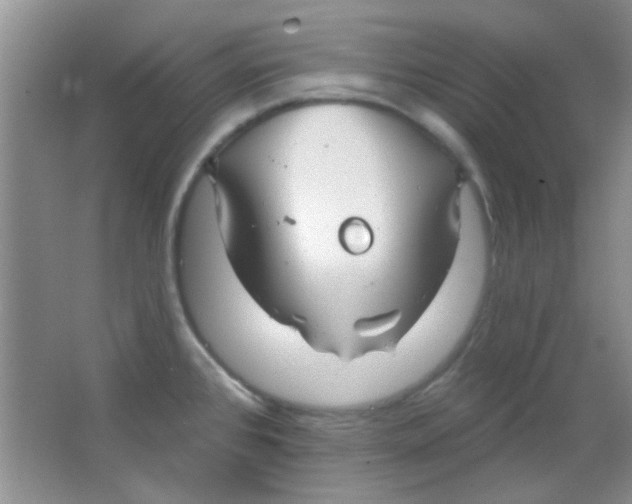 X0000063491384200602101822