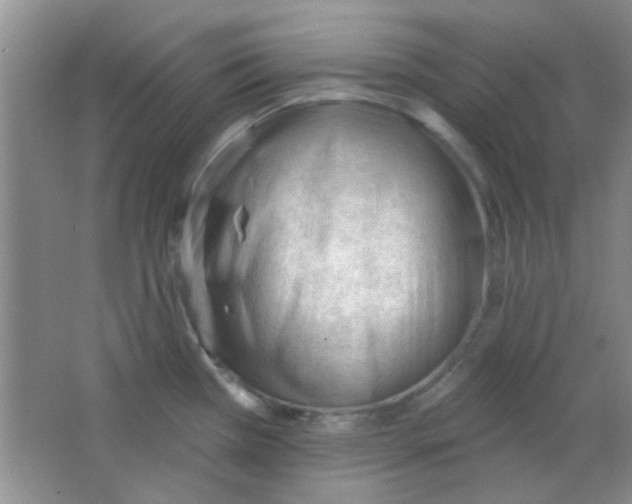 X0000063491385200602101822