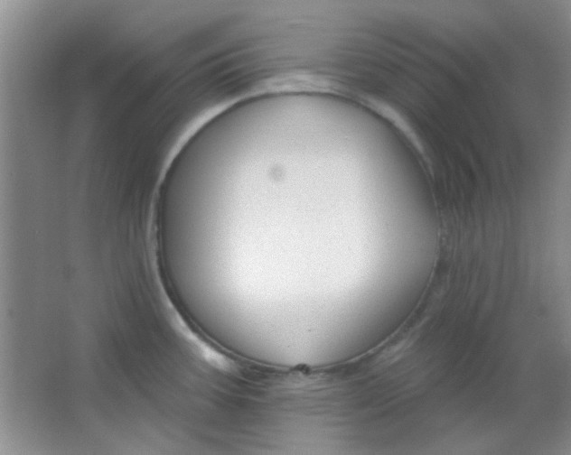 X0000063491387200602101822