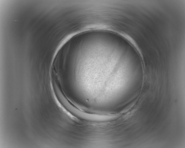 X0000063491389200602101822