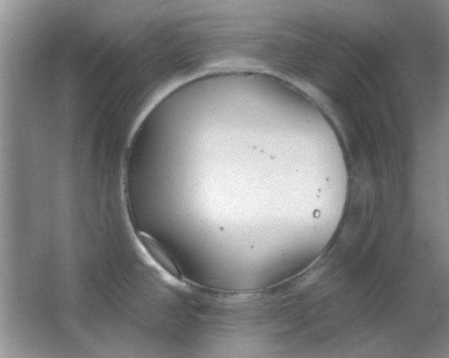 X0000063491390200602101822