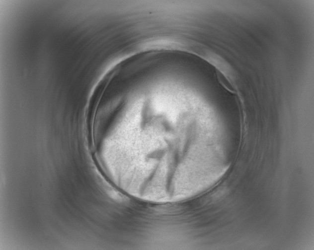 X0000063491392200602101822