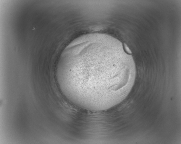 X0000063491393200602101821