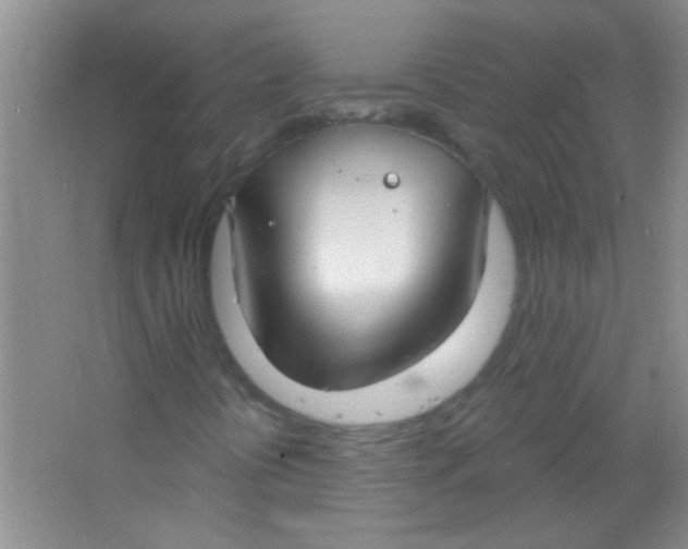 X0000063491394200602101821