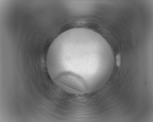 X0000063491395200602101821