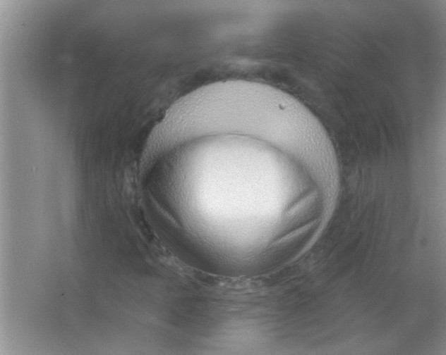 X0000063491397200602101821