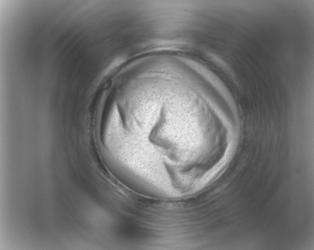 X0000063491411200602101821