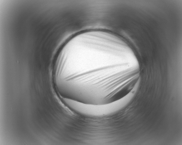 X0000063491416200602101821