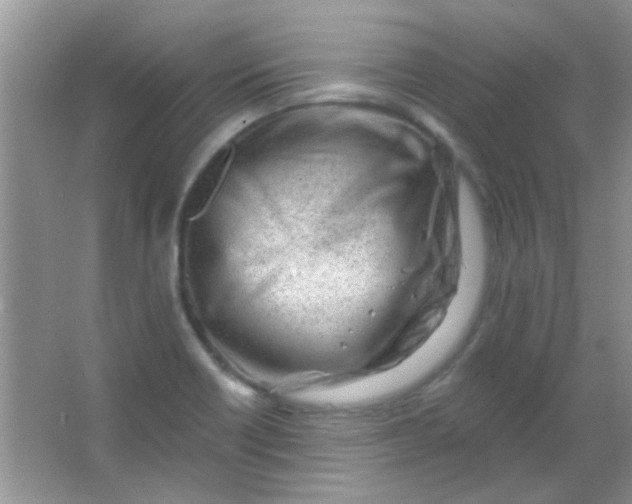 X0000063491418200602101821