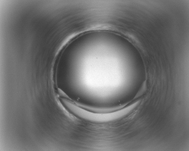 X0000063491422200602101821