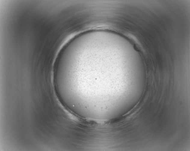 X0000063491424200602101821