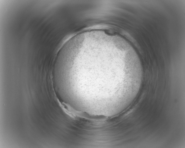 X0000063491425200602101821