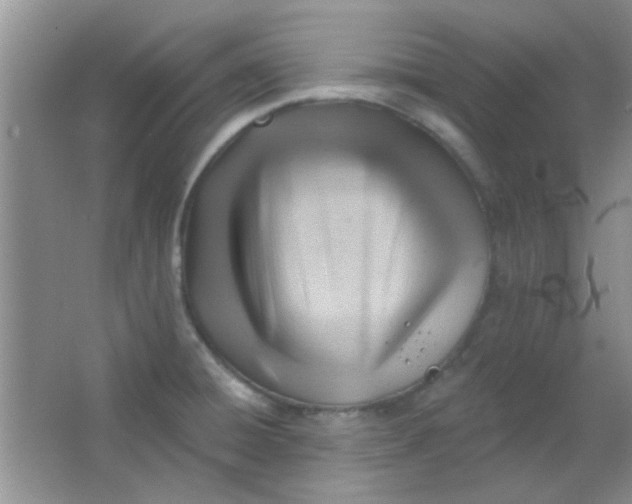 X0000063491428200602101821