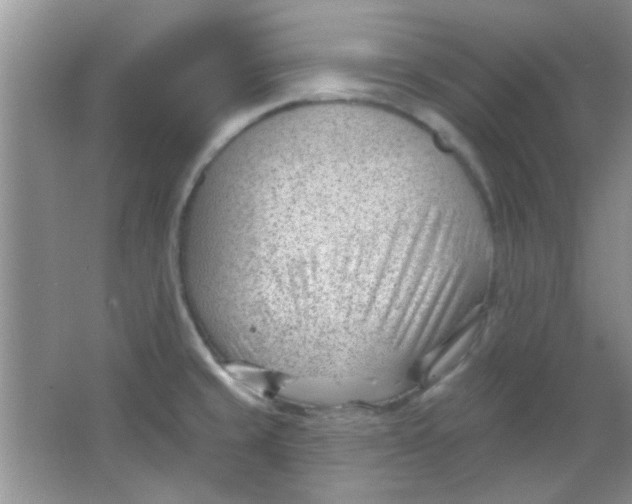 X0000063491429200602101821